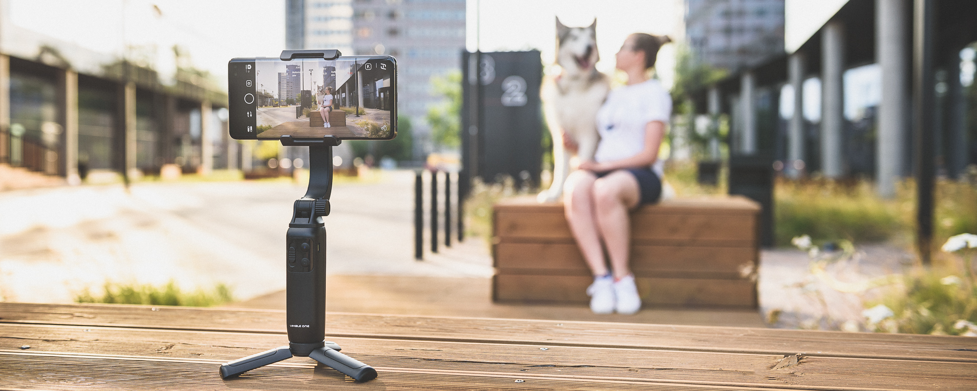 Gimbal nagrywa timelapse dziewczyny siedzacej z psem z panoramą miasta w tle